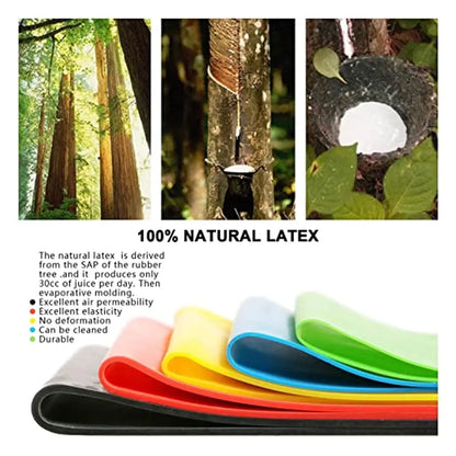 Natural Latex Exercise Fitness Resistance Loops Bands for Men and Women - Set of 5