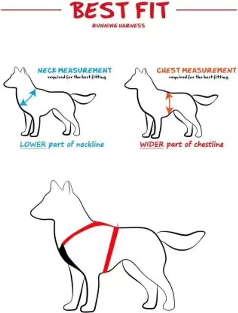 SF Dog Harness (Medium, Blue).