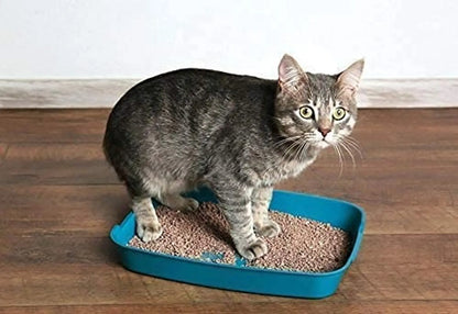 Fresh Clumping Cat Litter Sand 1 Kg