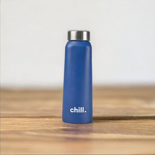 Thermos Stainless Steel bottle 750ml (Blue)